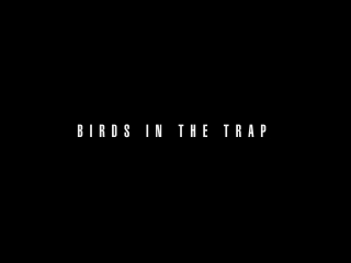 Travi$ scott birds in the trap