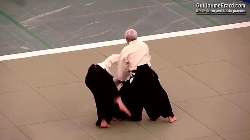 Aikido ueshiba moriteru doshu 51st all japan aikido demonstration 2013 айкидо