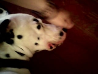 Крепко спим наастолько крепко