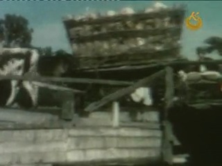 Житниця європи
