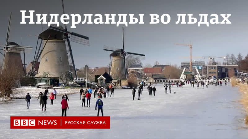 Как в нидерландах встретили неожиданные заморозки