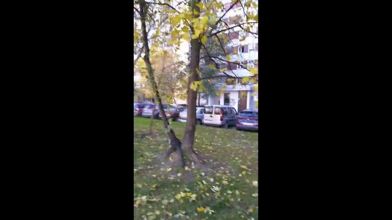 Live |ulas tuna astepe|улаш туна астепе|