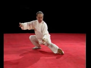 Ma hong chen style taijiquan and its fighting applications cd01