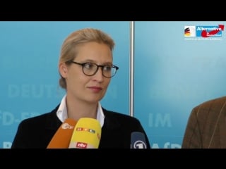 Volker kauder abgewählt! alice weidel alexander gauland stellungnahme afd fraktion