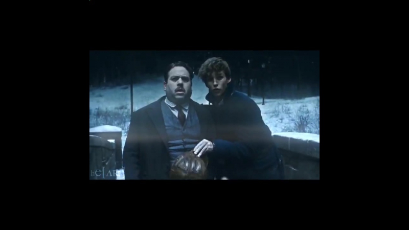Percival graves and newt scamander vine