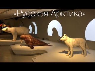 Русская арктика