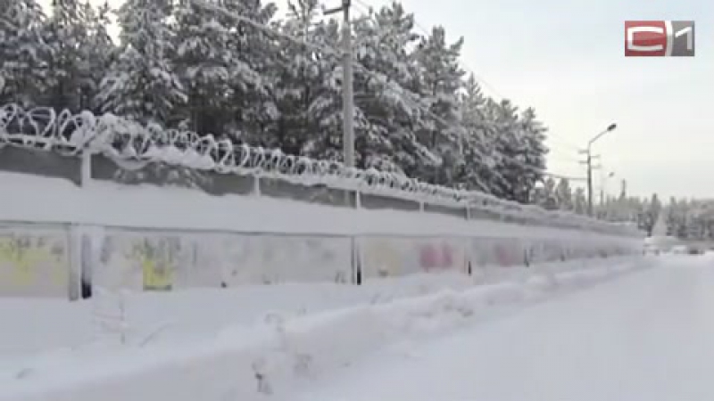 По собственному желанию 4 сотрудника сургутской спецшколы уволились после скандала в учреждении