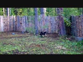 Рел феня знакомство молодой суки ( из архива)