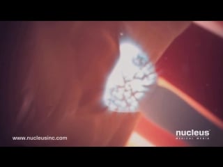 Оплодотворение 3d анимация