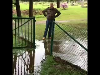 Prikoli foto video 20200610 0002 mp4