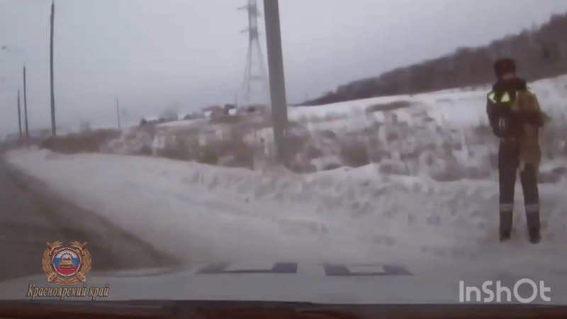 Автоинспекторы спасли сбежавшего перед праздниками пса