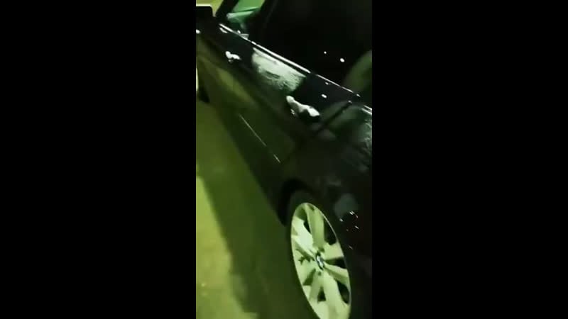 Мохнатый угонщик