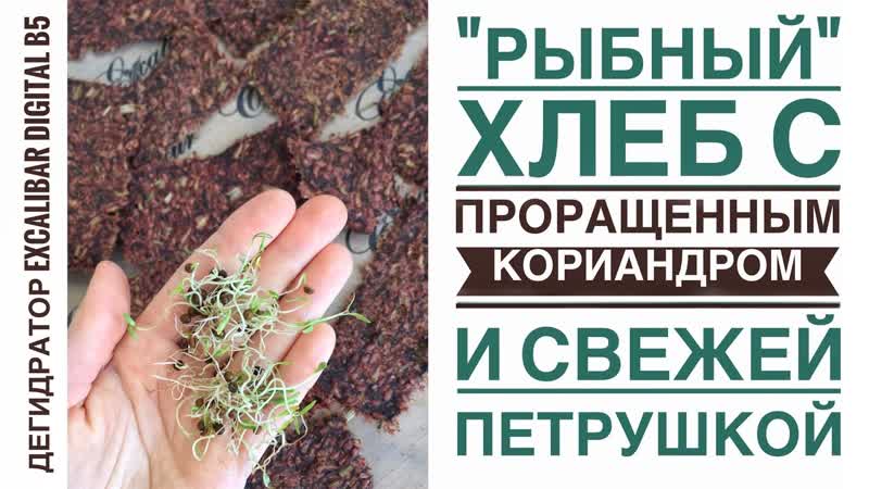 Усом porn video – Сыроедческие хлебцы со усом моря что приготовить из овощного жмыха? веганство | вегетарианство
