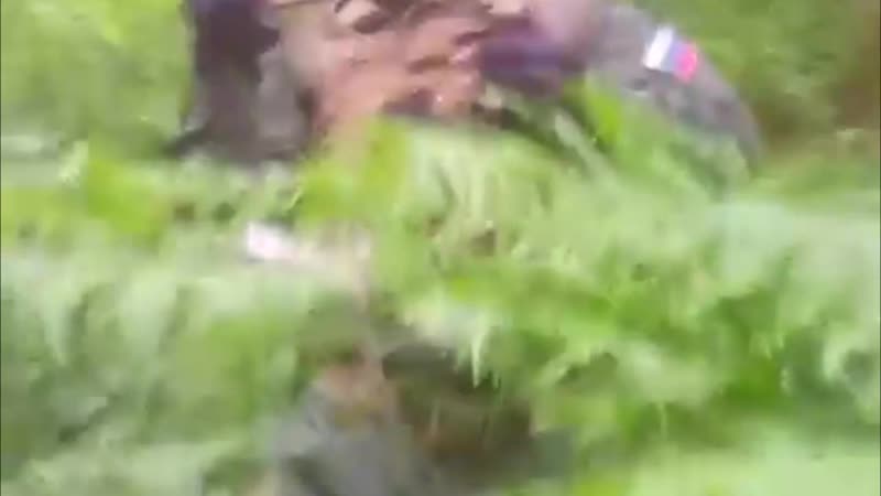 Порно тактическое | тактический 2019 тый