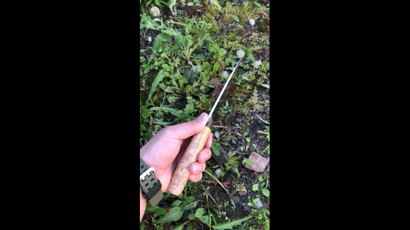 Бахарь большой 95х18|карельска береза