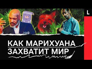 Будущее марихуаны миллиарды долларов, легализация, бизнес звезд голливуда