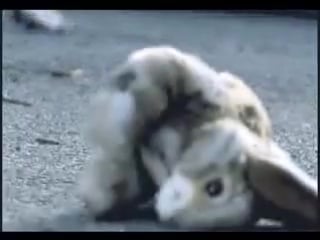 Kool savas and azad all 4 one unreleased