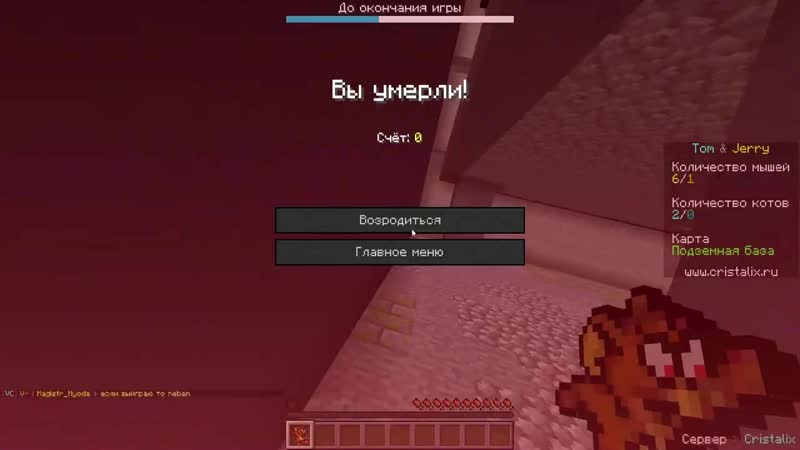 Играю со своей киской в кошки мышки