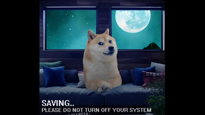 Cute doge game