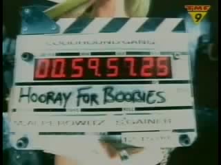 Bloodhoundgang the ballad of chasey lain