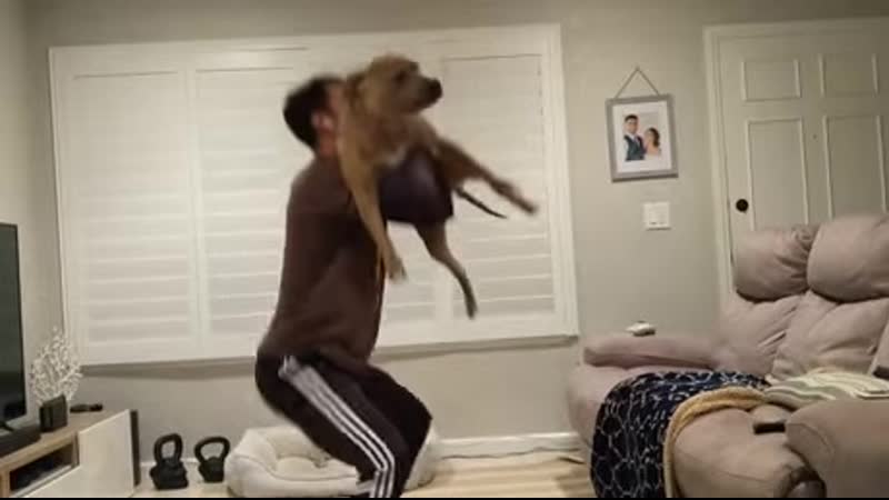 Woohoo! (wait for it) tippy taps dog breed