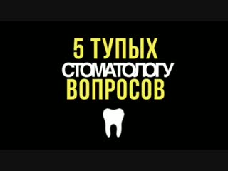 5 тупых вопросов дарье андреевне