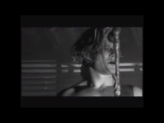 Rammstein tier (richard zven kruspe and paul landers)