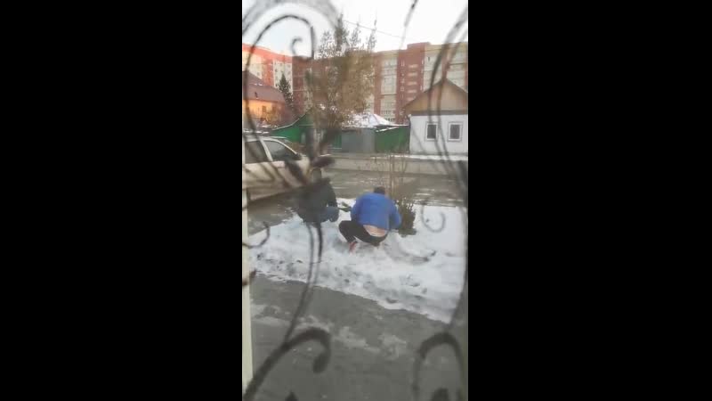 Подснежники ищет