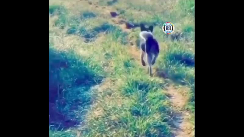 Tverskoicovid когда в пятницу идёшь домой с хорошим настроением