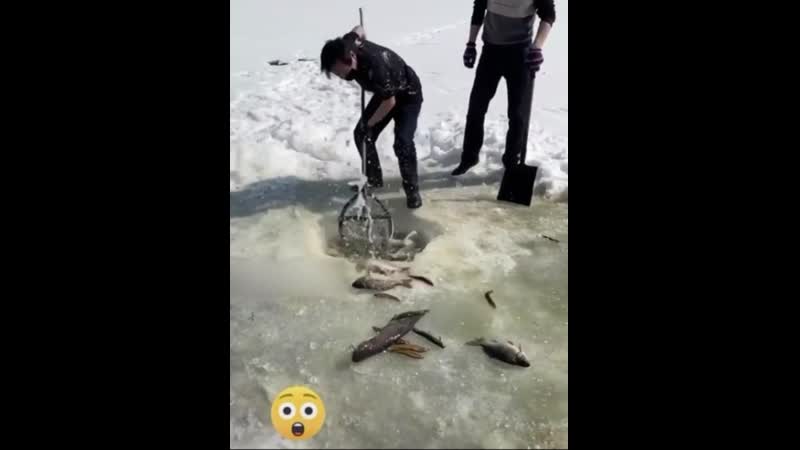 Вот это рыбалка!!!