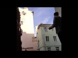 Паноптикум в питерском дворе