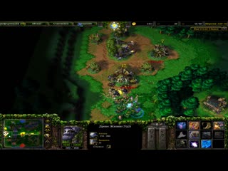 Эльфы озвучиваю процесс игры для новичков warcraft 3 survival chaos
