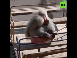 Keine besucher im porn