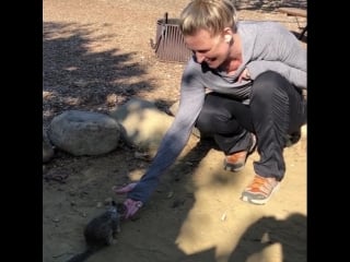 Sam smith on instagram “california squirrels are so particular #glamping #sant