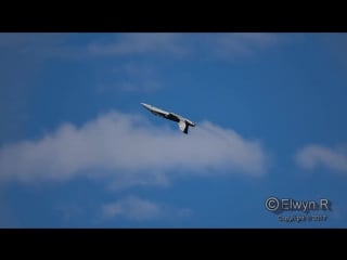 Stunning f a 18 display sion airshow