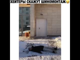 Хейтеры скажут шиномонтаж