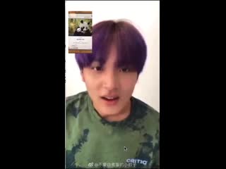 Pandas! video call 140620