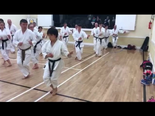 Okamoto sensei yoko geri kekomi or side thrust kick(360p)