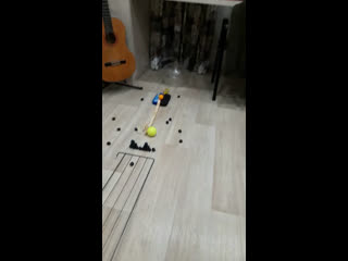 Машина голдберга ученика лицея «инфотеха» скочилова дениса 3 класс