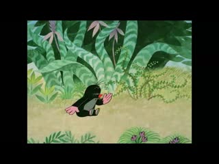 Krtek a medicína the little mole and medicine