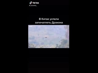 Видео от мелисы барут