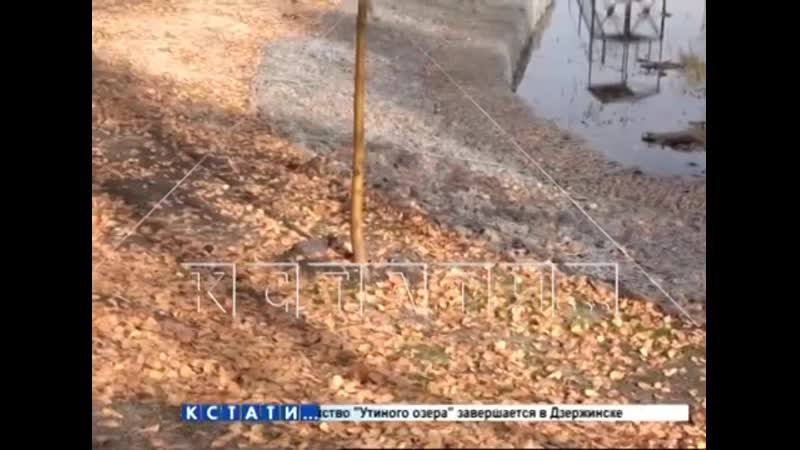 [кстати новости нижнего новгорода] повторное озеленение светлоярского парка