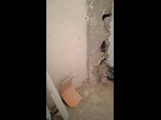 Vid 20200917 122618 mp4