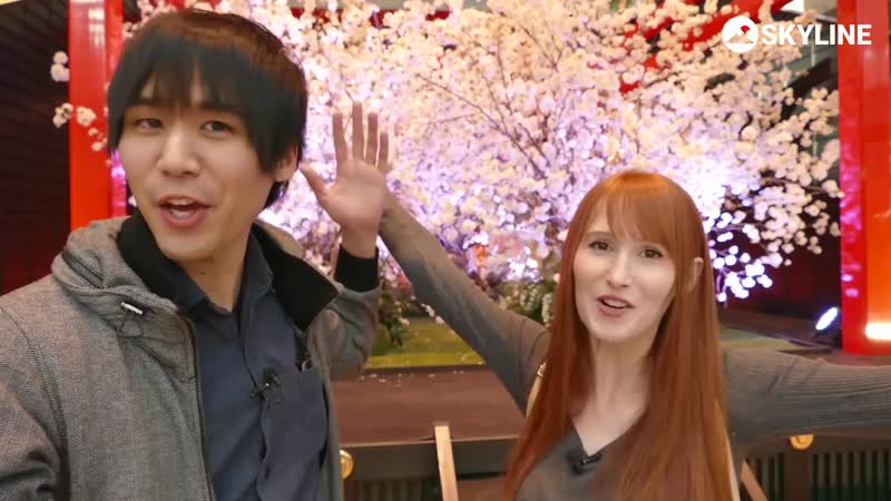 Это японский аэропорт!