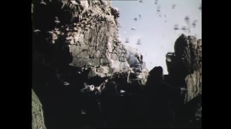 Летняя поездка к морю (1978) военный семён аранович