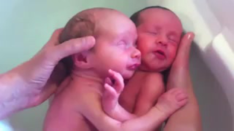 Младенцы близнецы уже родились, но пока не знают этого