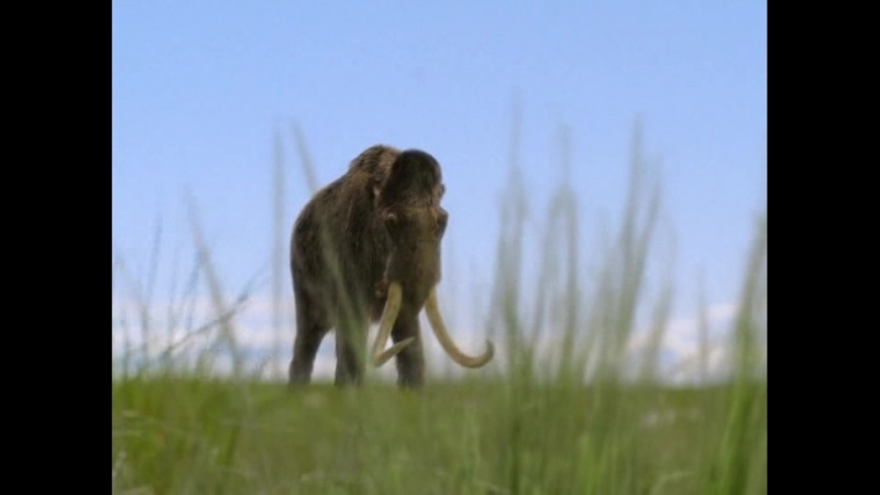 Прогулянки з чудовиськами 6 серія
