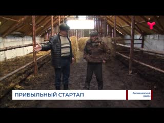 Прибыльный стартап