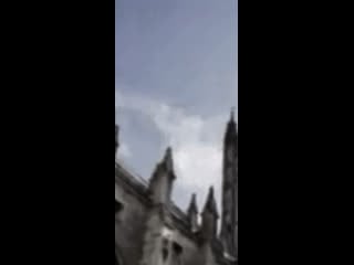 Bébé shadow x lali pivo lonely wolf