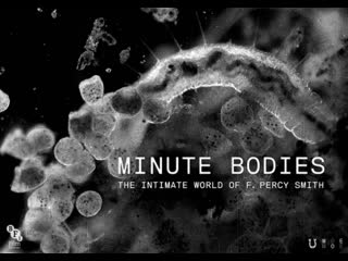 Minute bodies the intimate world of f percy smith (2016) dir stuart staples